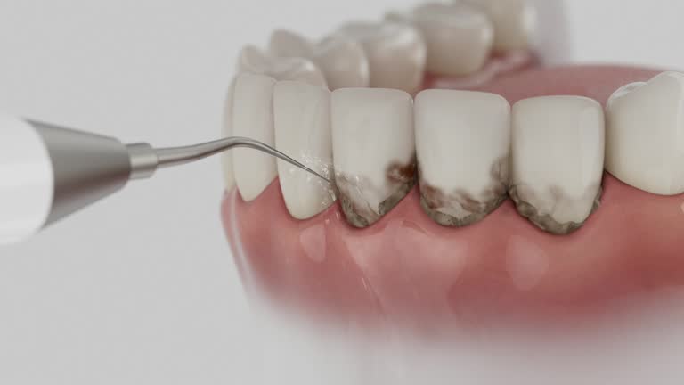 Reliable Dental contractor in Point Venture, TX by Dentist Open Now